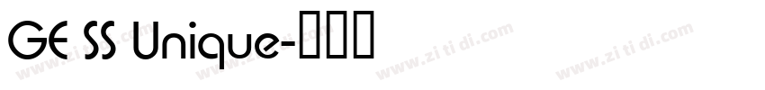 GE SS Unique字体转换